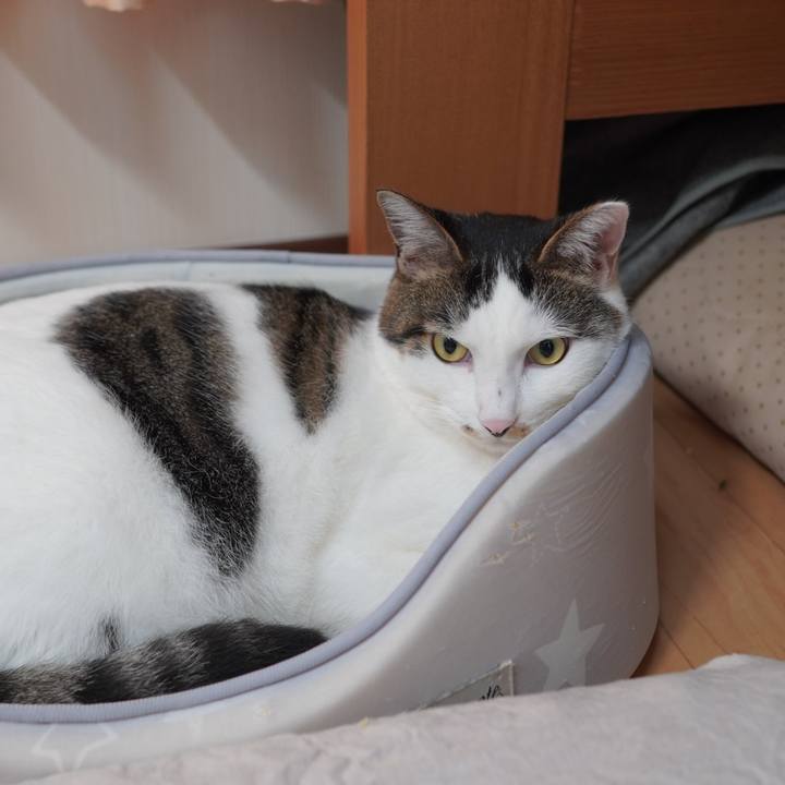 3290444d 65b8 4832 9d4b 2eebef67769f 1595375655950