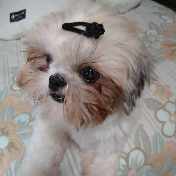 3290a685 c285 4c4c abfe 14564c95171a 1603503376752