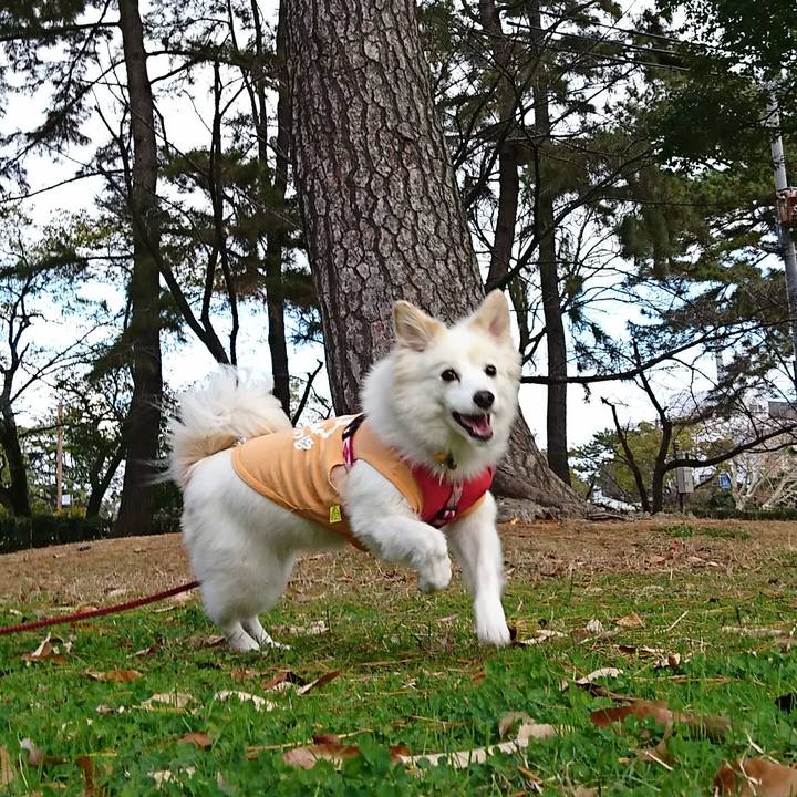 3290fc3a bd60 49c0 89c9 80263c301836 1638584974349