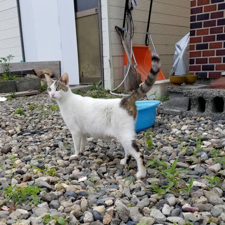 32912e6b ffd3 4b6b 8e95 fac7f308fd5e 1593609737538