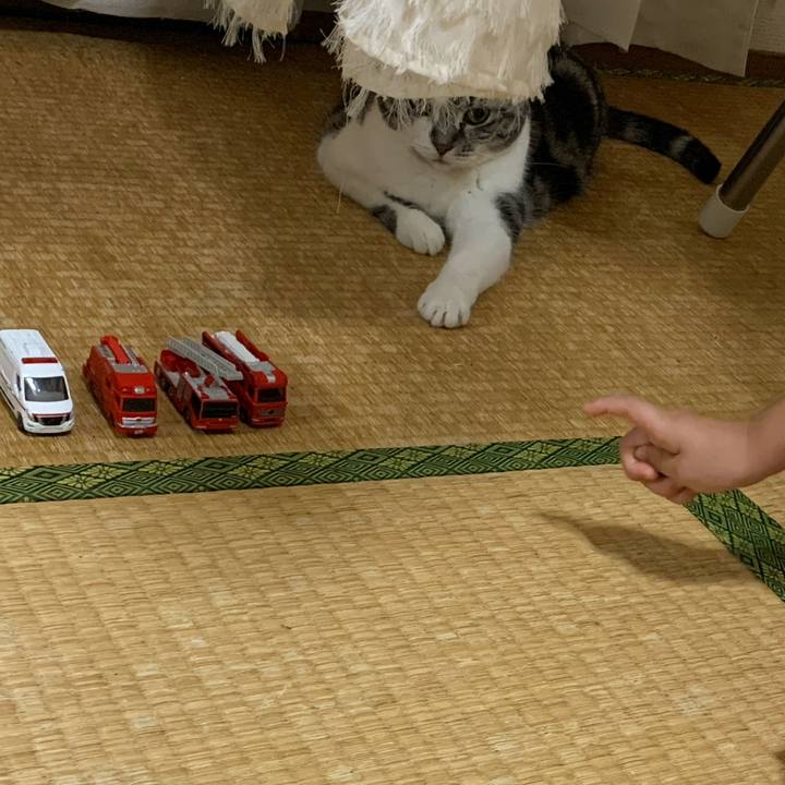 32916690 1d1d 440b b616 455f4c5896d6 1759920592324