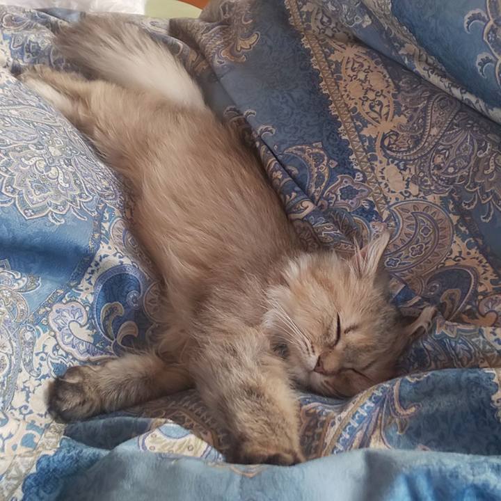 329177e5 e40f 414e aa4f 9e19301f5baa 1557738624325