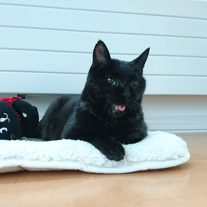 3291a291 1912 4d58 95d5 a330d95763b1 1576540490607