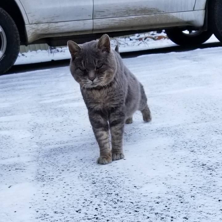 3291b146 a568 41b3 9fe8 6874cc738c12 1543562236876