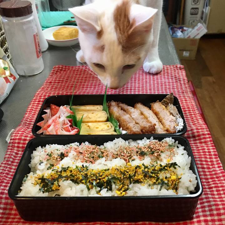 32921271 bb28 4960 b6b2 d311205d6c02 1515710768802