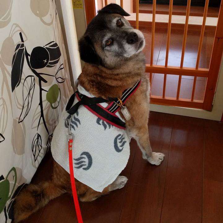 32926df7 cc14 47a0 8eff 291c20c25b3f 1512696181181