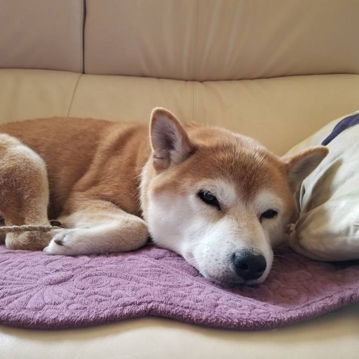 32927aff 05c0 4515 9ce1 175911bf1f2f 1565580732916