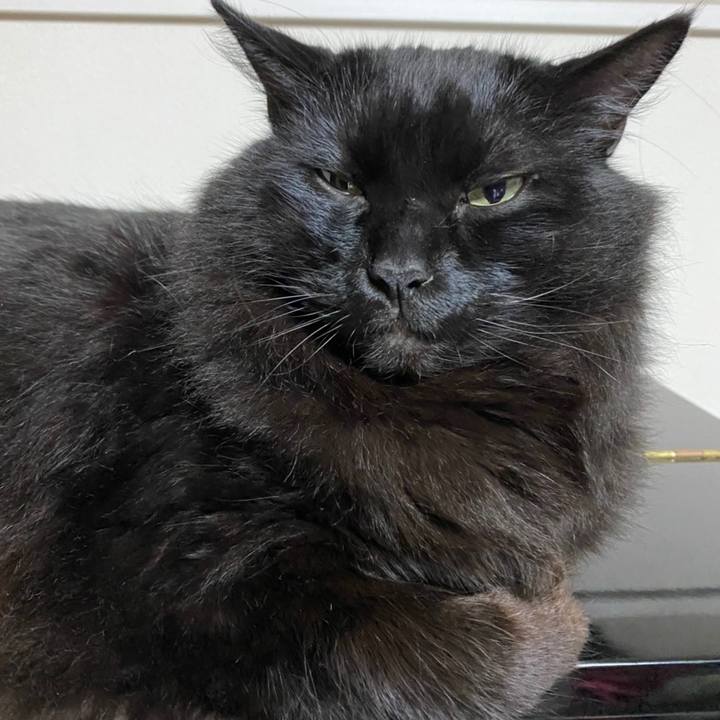 329287d0 09f7 488a ac3e 54d9d09c3325 1600596344934