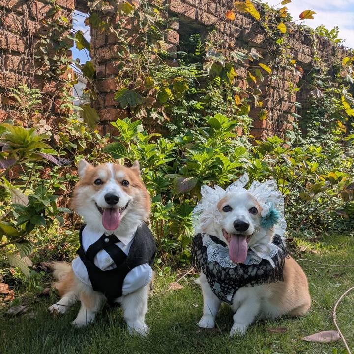 3292ce19 aab2 427c 8993 15d8d24d2411 1761884749169