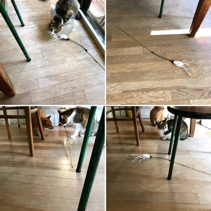 3292db07 cbd5 4d4f ae8a 71fd12afa83f 1514187599143