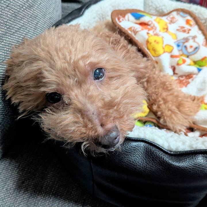 3292deef bb45 4c2b 8e9c 7a25c7b2e072 1768518820948