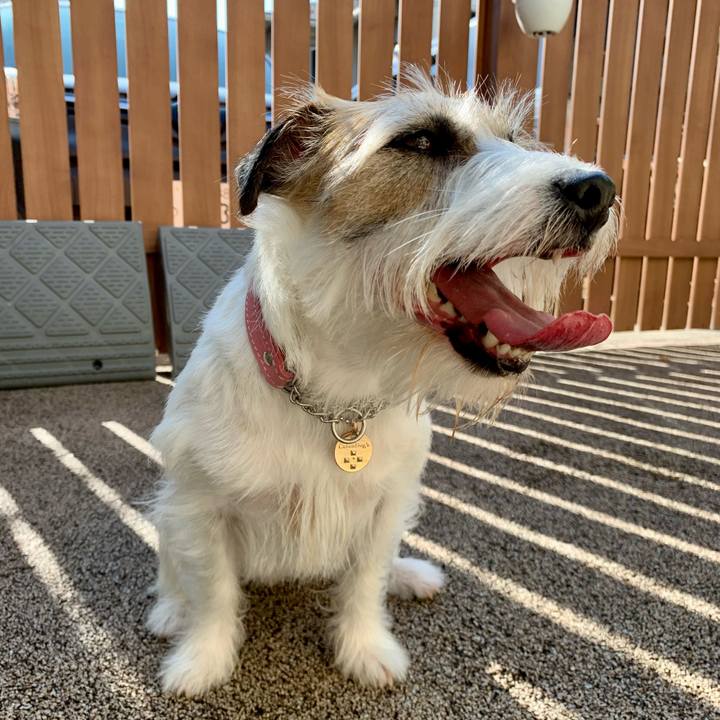 3292df31 be7a 4660 b675 9acb6f826929 1653694056863