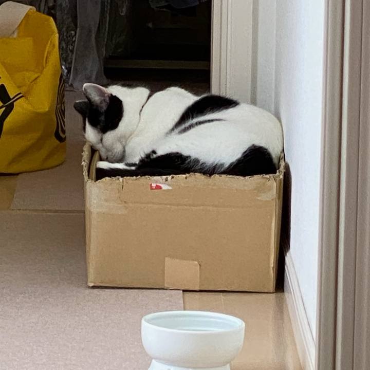 32931d06 1793 4b4a 9934 b3acacb4862a 1759705436628