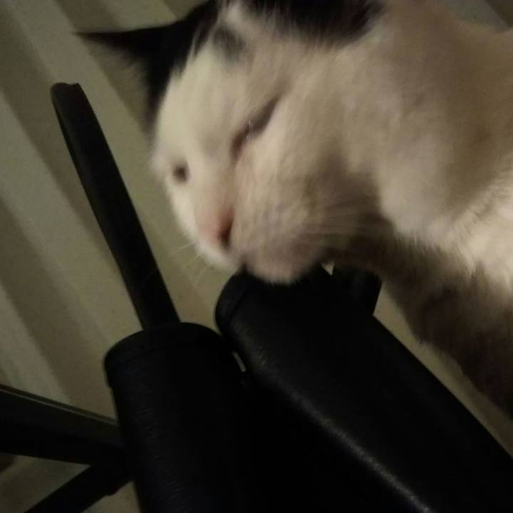 32933bdc 627e 476f af22 0515b6ceaf76 1534507456839