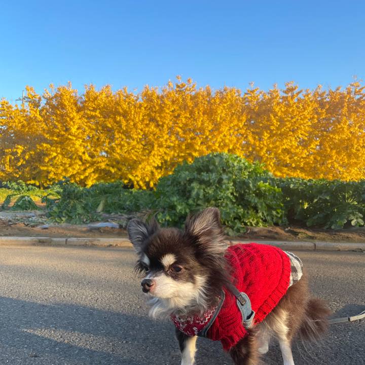 329343b9 7ceb 4312 b9e1 53a27b06b19c 1702197169110