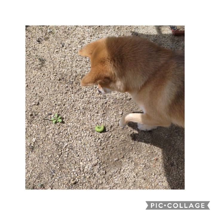 32934ef2 b288 4f5d beb9 bbfbcf99b3be 1663729837946