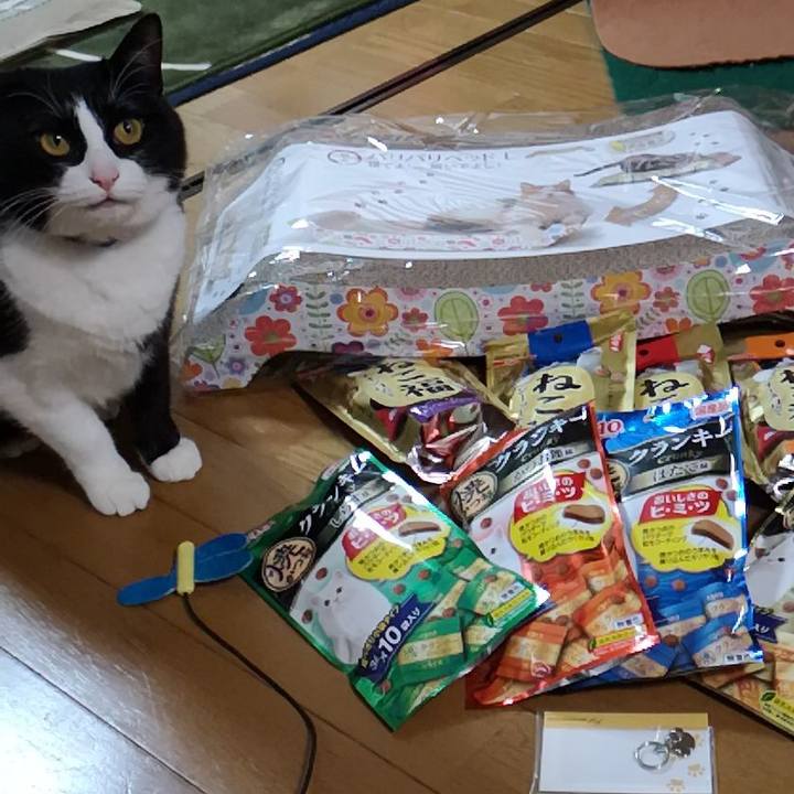 32939a18 21e0 45d0 bc22 dae580f7fba1 1582728991555