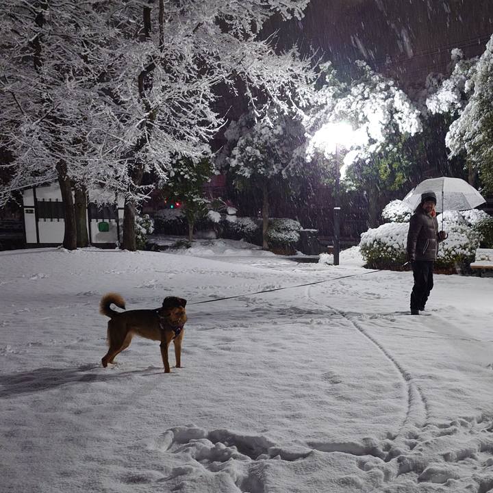 32941831 bba1 46fd a95e 7aa55e9e6a70 1741100340949