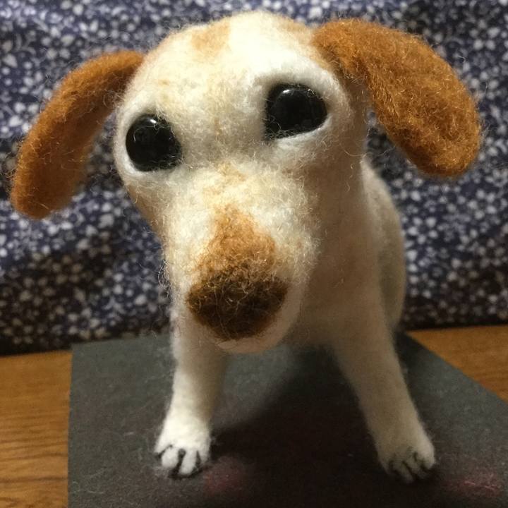 32941be9 8b5c 4388 ae9a 8b99bb2ff6c7 1617195200165