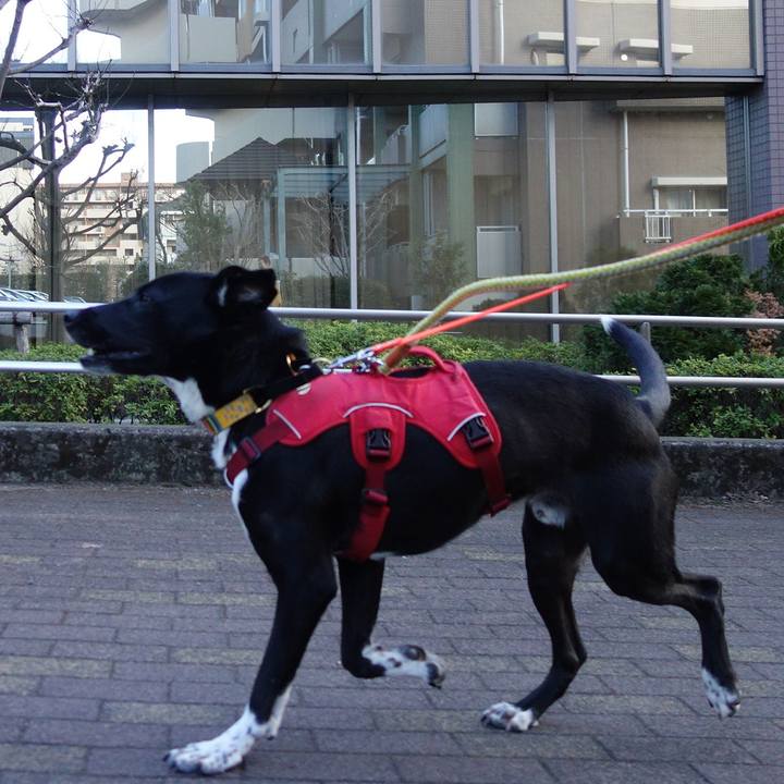 3294342a 63d3 43c0 addf b54b46b75cd9 1584579934903