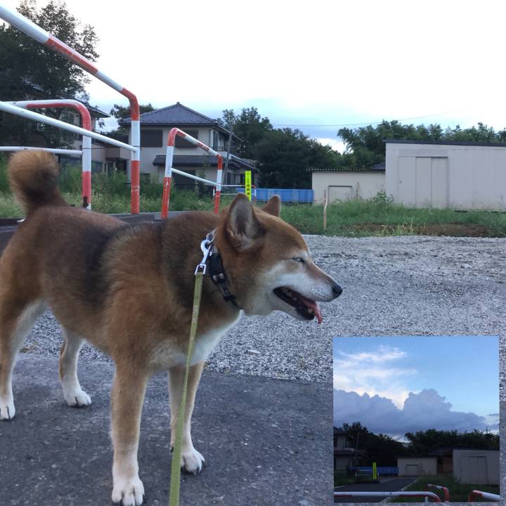 3294869b 56c9 4e2d 8f8f 69eeaf66fd85 1599209160990