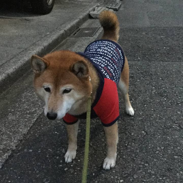 329487c7 d774 4493 8afe 9084b7015b36 1576917568073