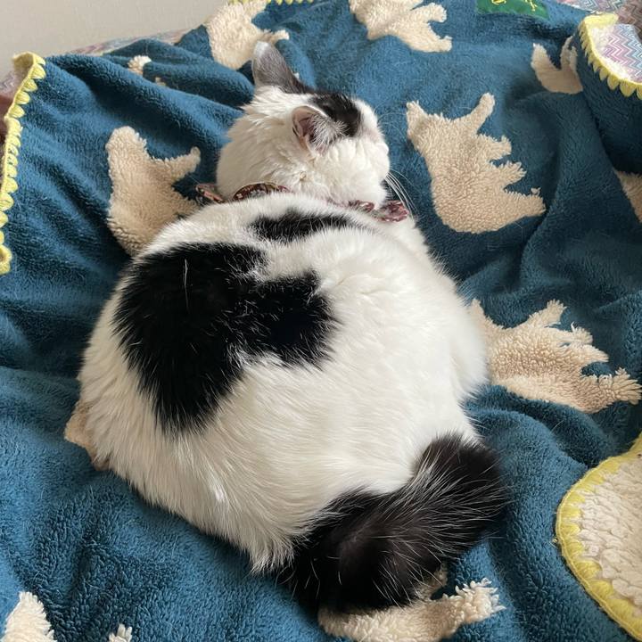 329489af e419 4993 b340 e018eac9374d 1680147630274