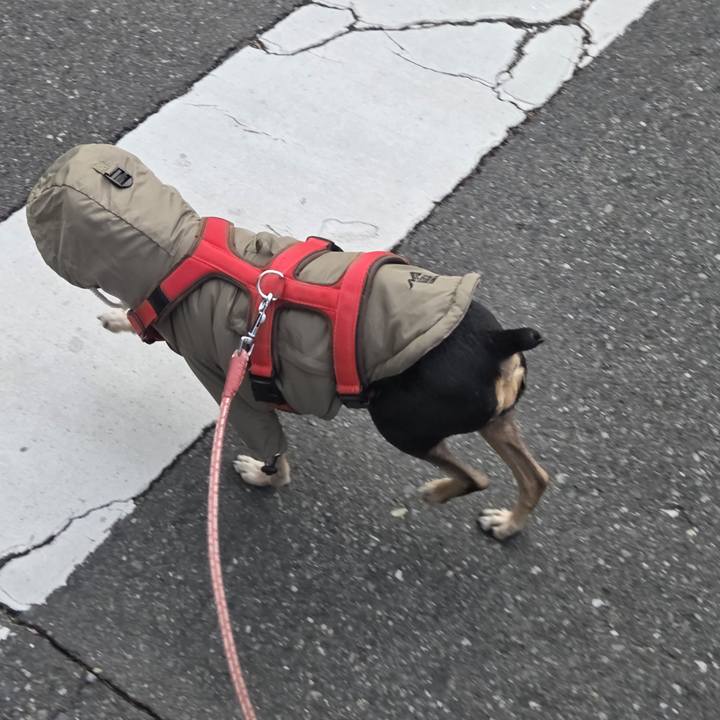 32953726 ef07 4dcb 8436 7e2585d440d9 1763597895572