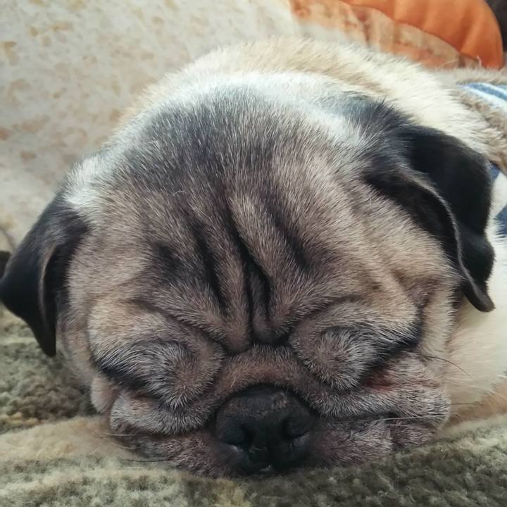 3295aa41 5607 4c7d a7eb 68b55ca2cd93 1576594751468