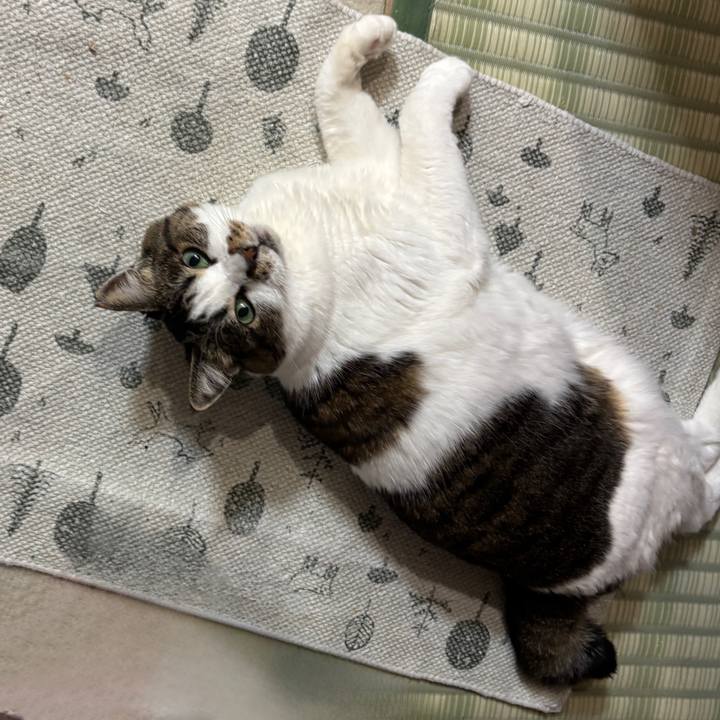 3295c234 d5d8 439b 8b0d f5e17ba9b02e 1773871960678