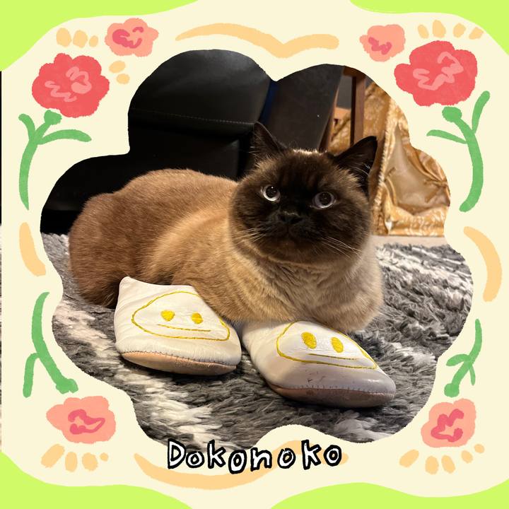 3295e28e 1a3c 413e a86b 417f5fdc113e 1715516667008