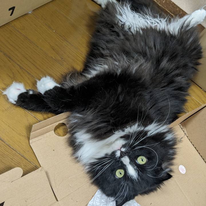 329681d3 f714 4892 8dc8 a993773fcab2 1718502796616