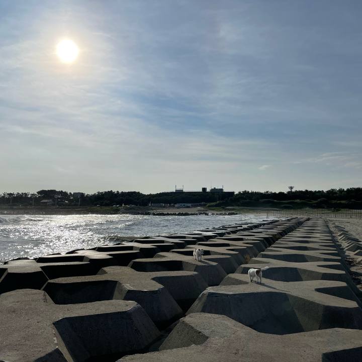 3296bdc2 75a8 4ff4 98c2 9024fea82f1a 1663201459807