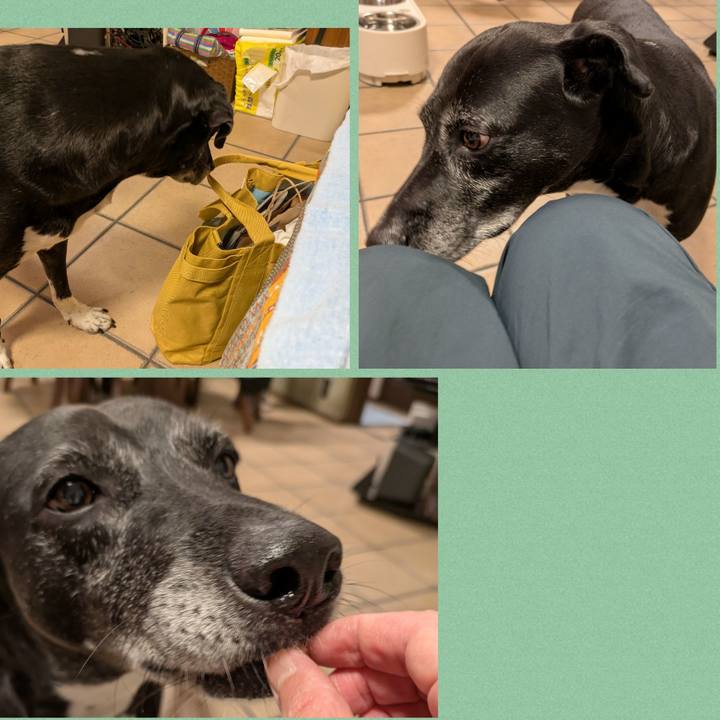 3296f27b 33bb 4b83 bdc3 fd7e27614808 1760102055488