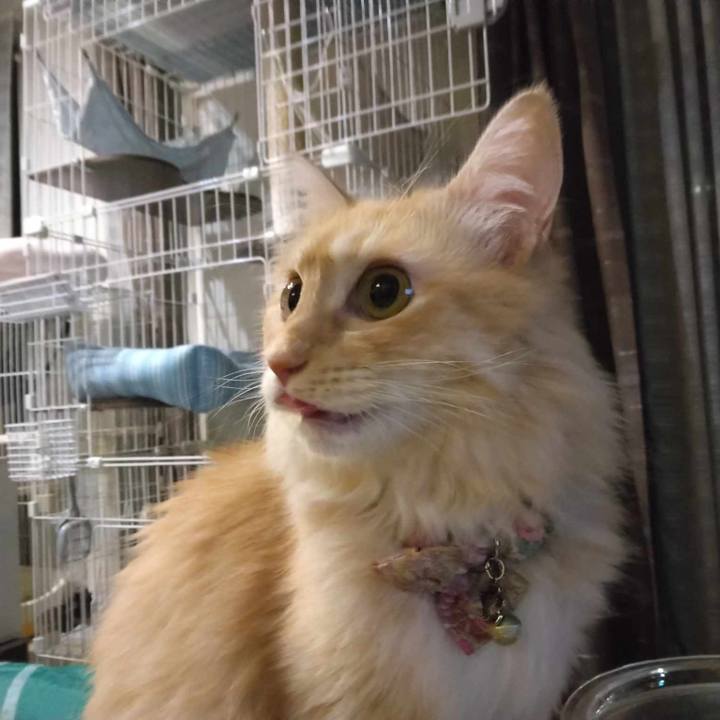 3296fe87 33f8 4bf7 b0db f065447faf87 1693911180977