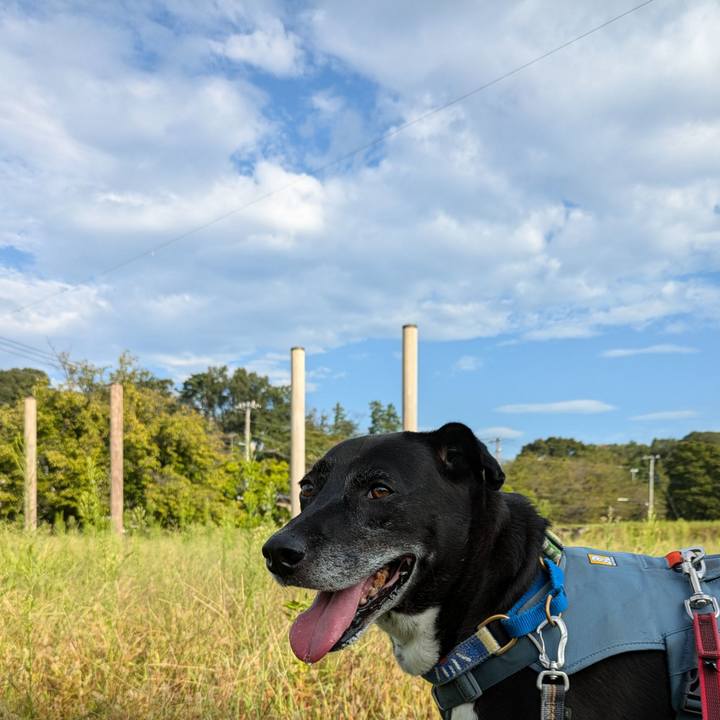 32972219 ddda 4dbb 9867 f844d45e38c5 1726787900396