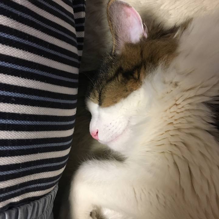 329742da edc1 402e 81bc f5f2f86e857f 1514966828429