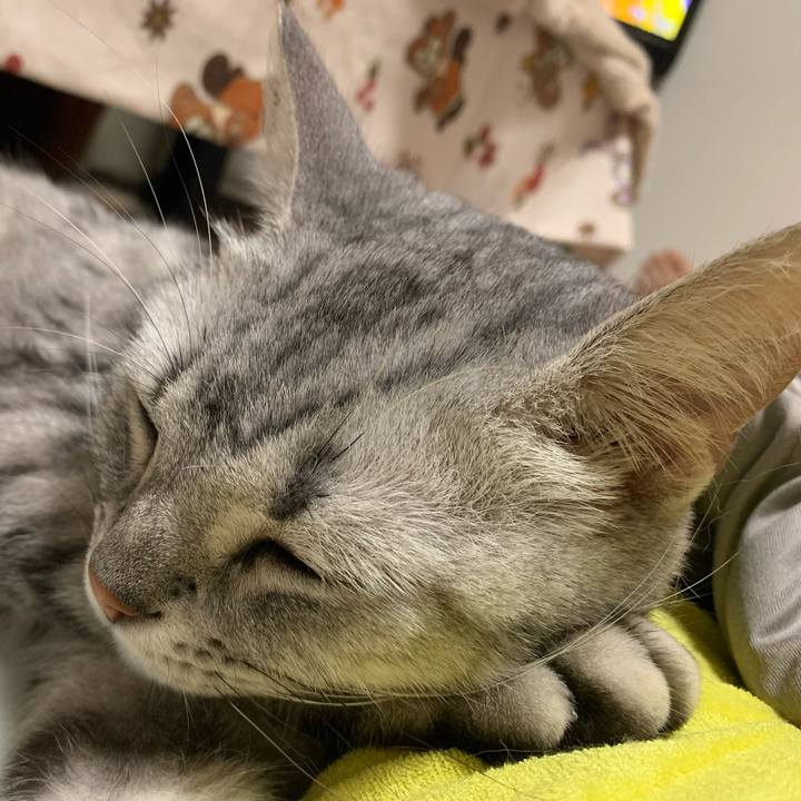 32974971 61e2 439f a07f 1a63c19e5520 1592057484975