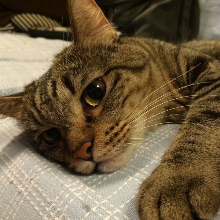 329749e9 da27 48c1 9367 3eb43a339982 1511818155055