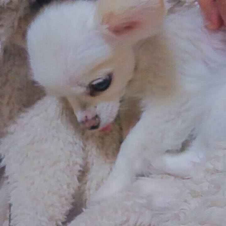 32975954 0d61 4598 a859 bd0648aa5581 1571746639724