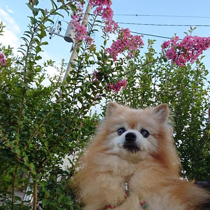 329766c3 6f0a 4c5b 9eae cf9bf364646b 1692656132491