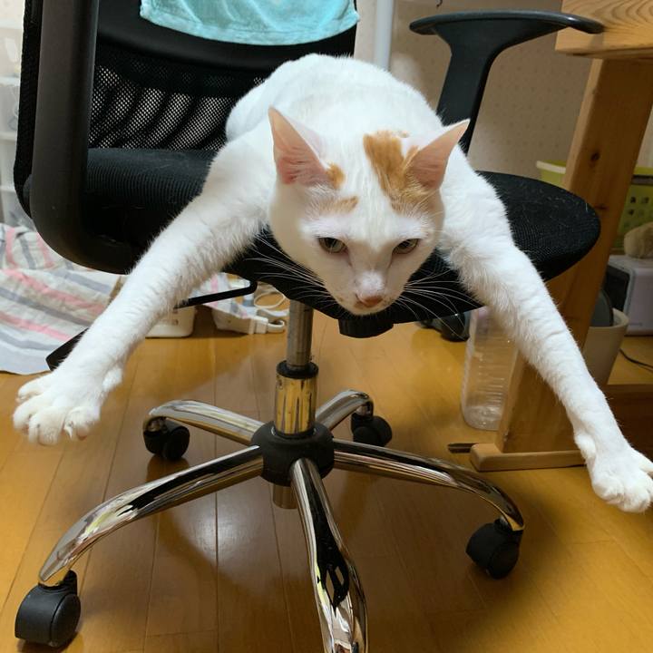 32979d60 fbd3 4fe7 ad79 f2af2f967b73 1607145118090