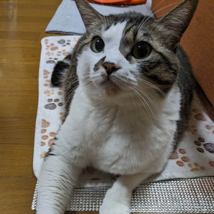 3297a0fa e1fd 4741 9522 ca935f738308 1706750597429