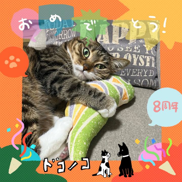 3297c63a a7e2 45e0 a97d d7fc871e6387 1718460667523