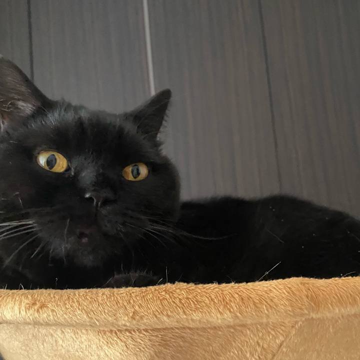 3298a403 6f1c 4d7b 88f7 e36b9eff6c7c 1764383601001