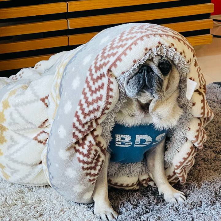 3298bf88 282d 4b67 817c 2c312799c7b6 1764370878037