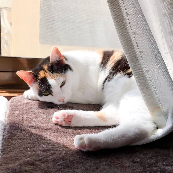 3298ea1f b42e 4ace b554 e9a77812e566 1525311467291