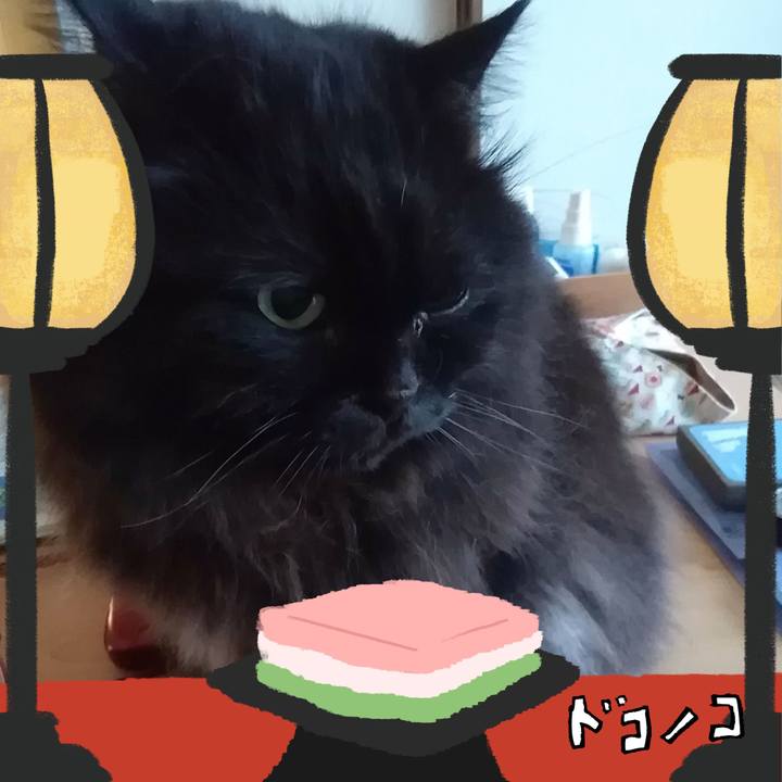 3298ff3d c361 4e70 8b88 06408226c06a 1741146688916