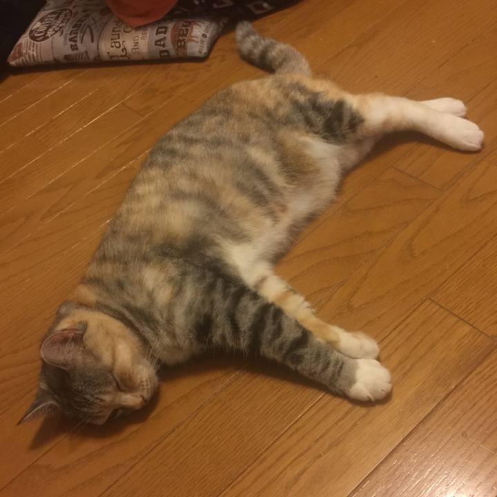 3298ff6a 02a5 4574 bf76 ca8320379c65 1564505370956