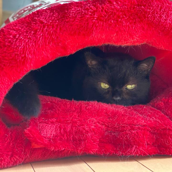 3299a268 de90 45ad 848e 66f2e058dd1a 1633174983047